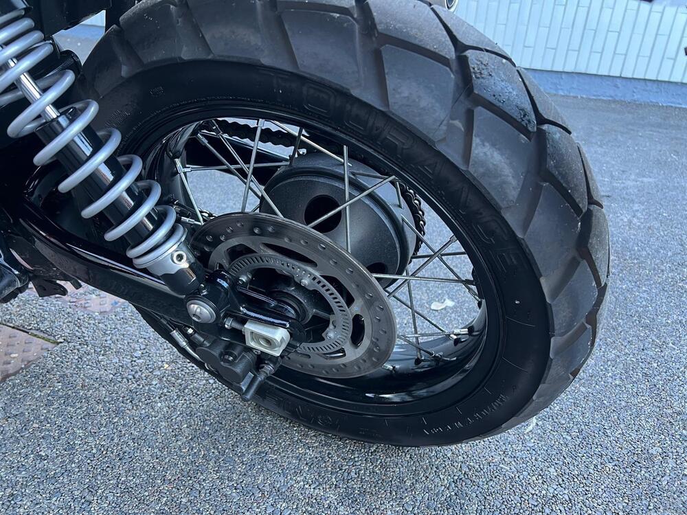 Triumph Scrambler 900 Icon Edition (2025 - 26) (18)