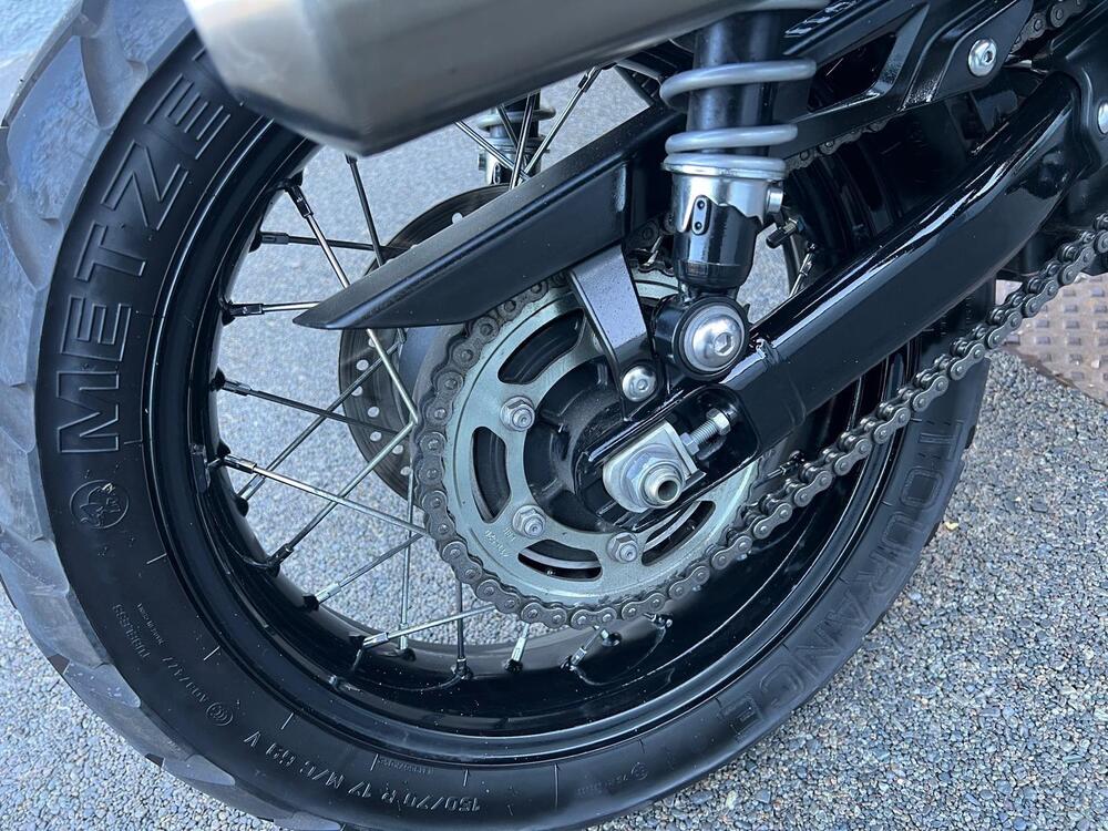 Triumph Scrambler 900 Icon Edition (2025 - 26) (19)