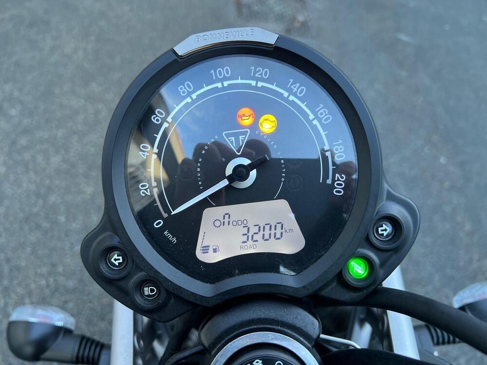 Triumph Scrambler 900 Icon Edition (2025 - 26) (5)