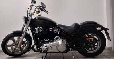 Harley-Davidson Softail Standard (2021 - 25) usata