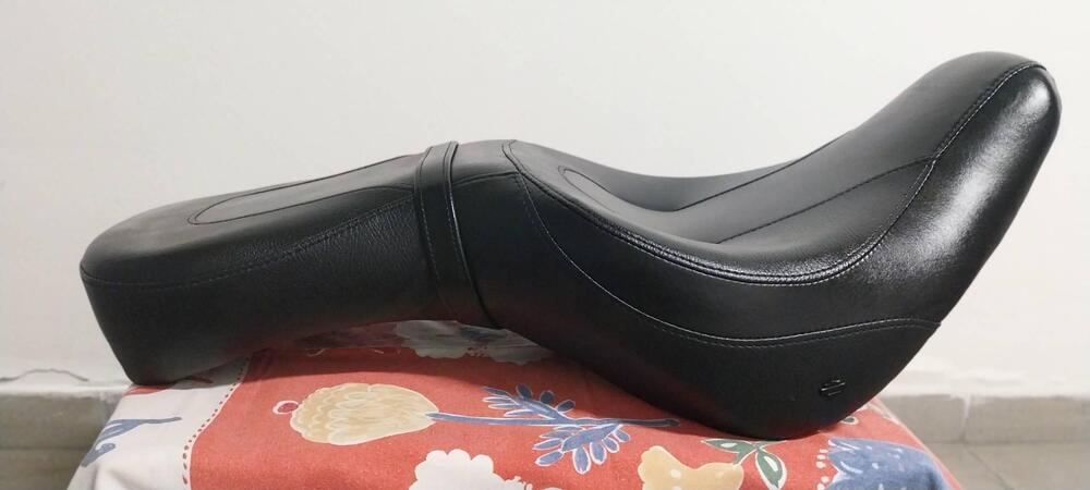 Harley-Davidson Softail Standard (2021 - 25) (4)