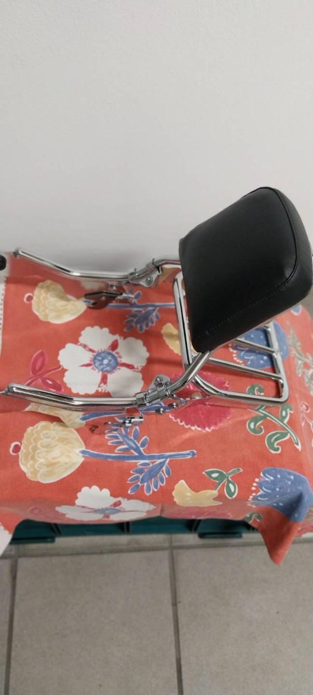 Harley-Davidson Softail Standard (2021 - 25) (5)