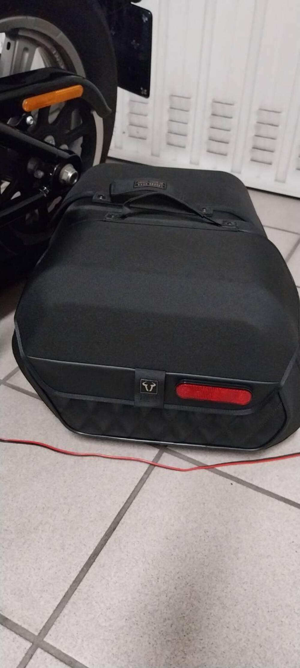 Harley-Davidson Softail Standard (2021 - 25) (6)