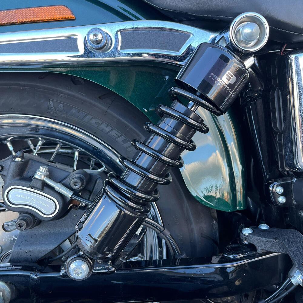 Harley-Davidson 1690 Low Rider (2014 - 17) - FXDL (18)