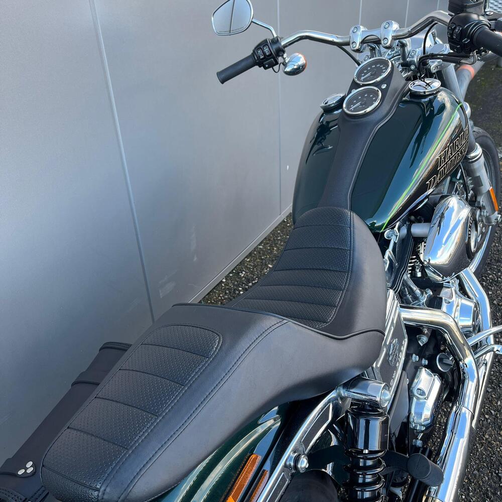 Harley-Davidson 1690 Low Rider (2014 - 17) - FXDL (15)