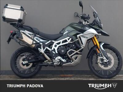Triumph Tiger 900 Rally Pro (2024 - 26) usata