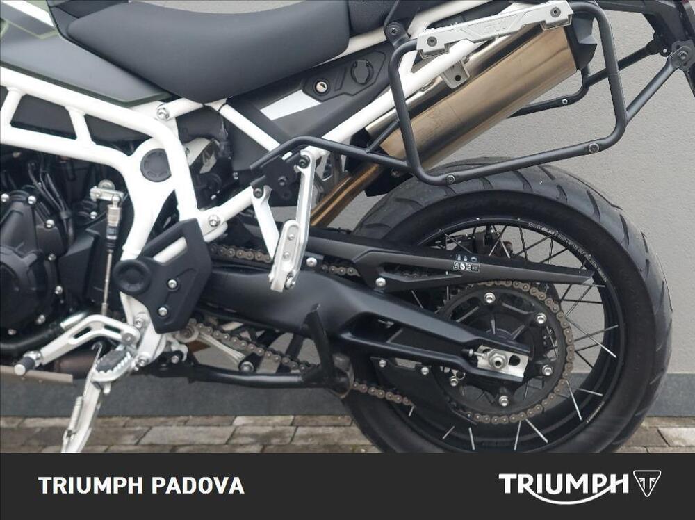 Triumph Tiger 900 Rally Pro (2024 - 26) (7)