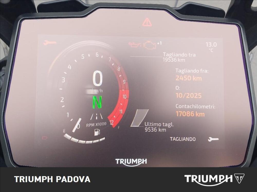 Triumph Tiger 900 Rally Pro (2024 - 26) (13)