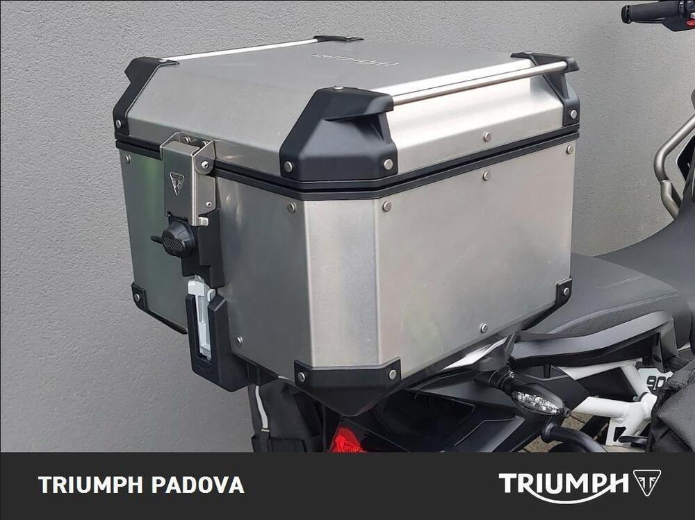 Triumph Tiger 900 Rally Pro (2024 - 26) (14)
