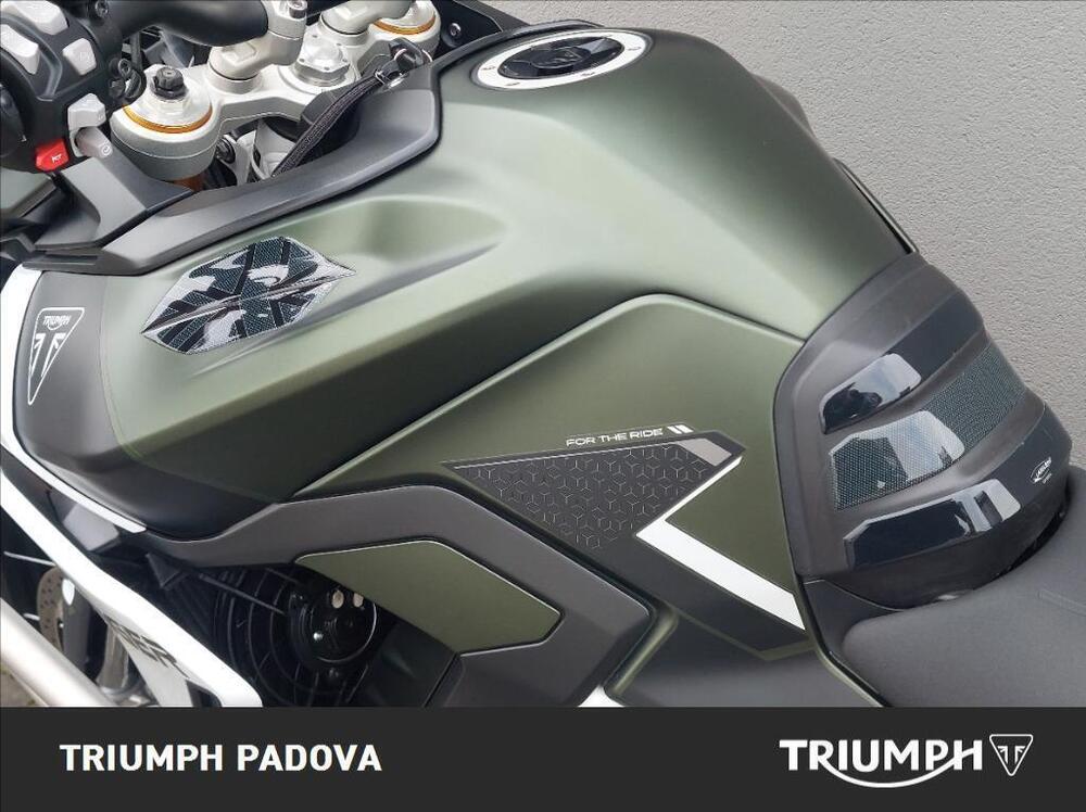Triumph Tiger 900 Rally Pro (2024 - 26) (9)