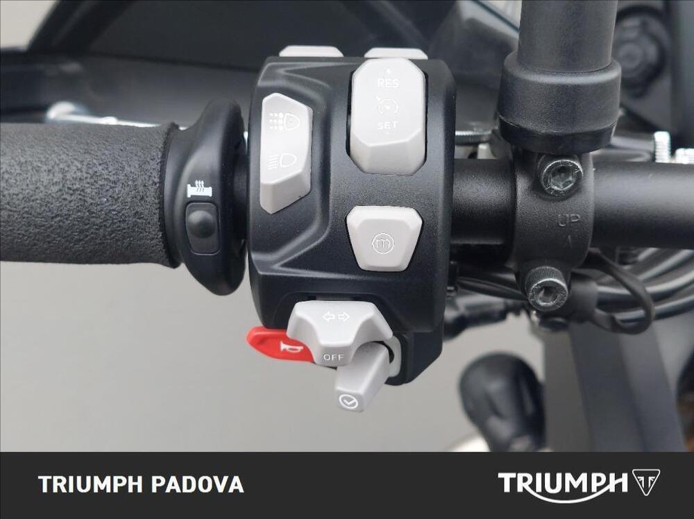 Triumph Tiger 900 Rally Pro (2024 - 26) (12)