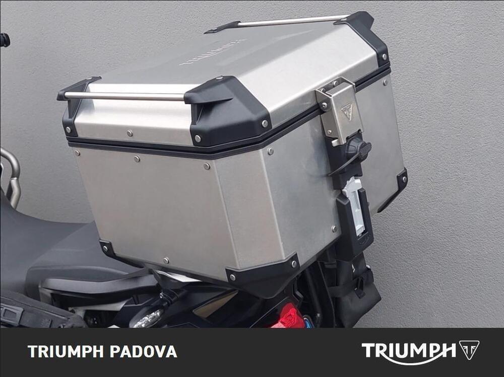 Triumph Tiger 900 Rally Pro (2024 - 26) (15)