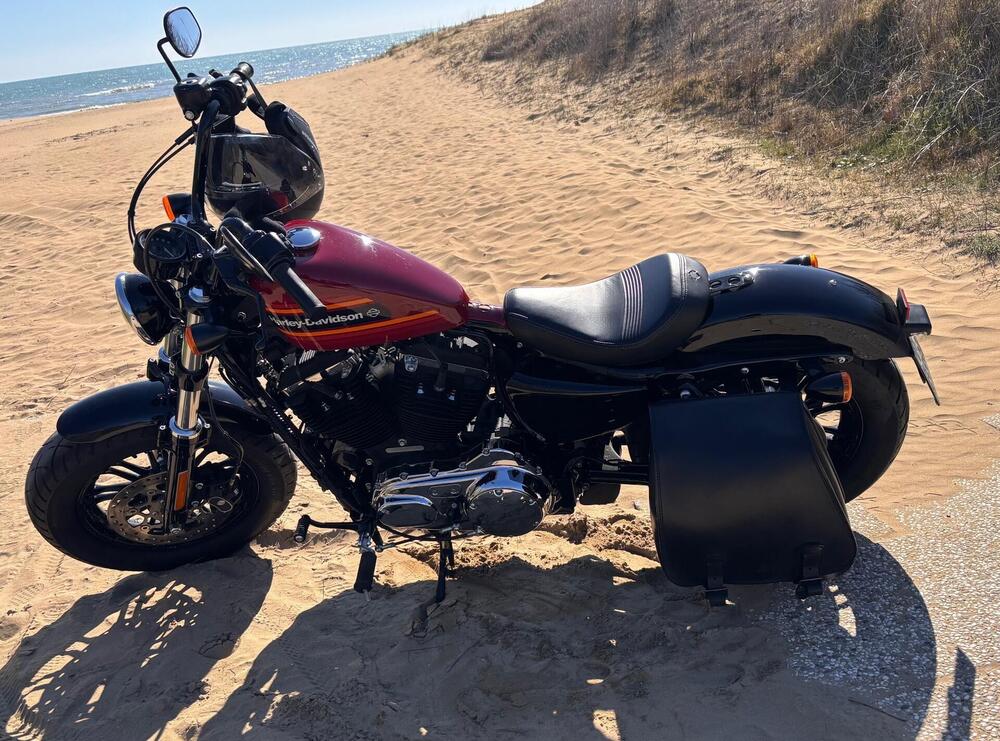 Harley-Davidson 1200 Forty-Eight Special (2018 - 20) (2)