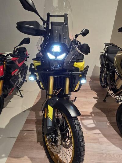 Voge Valico 800DSX Rally (2025 - 26) nuova