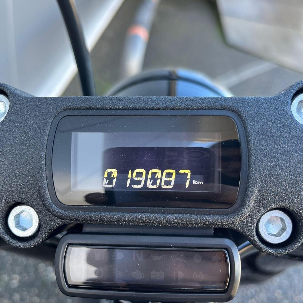 Harley-Davidson Street Bob 114 (2021 - 24) (10)