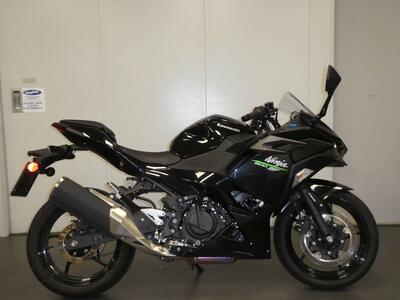 Kawasaki Ninja 500 SE (2024 - 26) usata