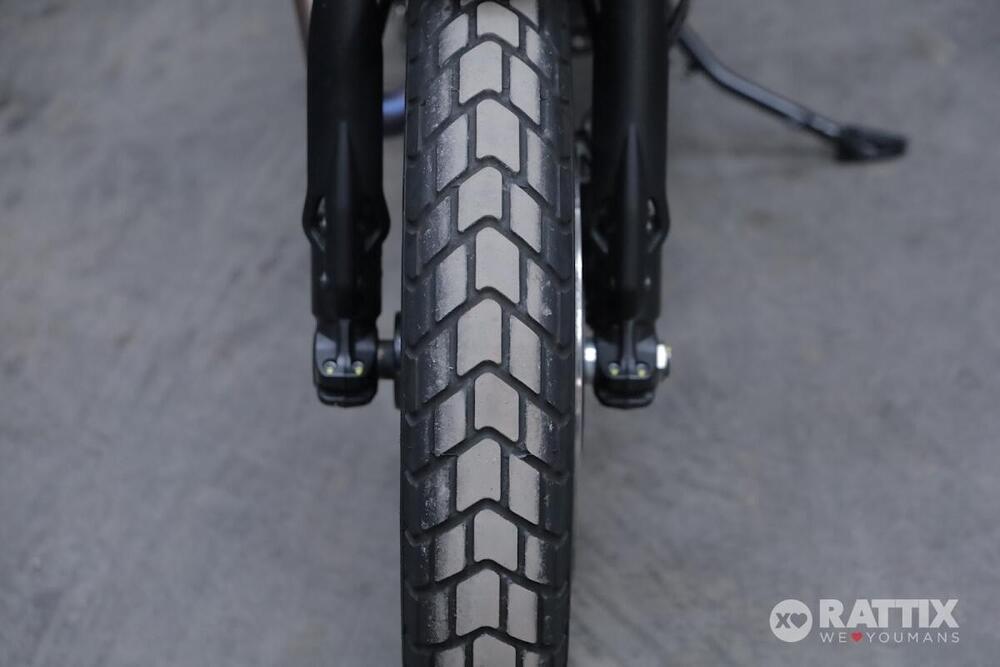 Ducati Scrambler 800 Icon (2023 - 24) (10)