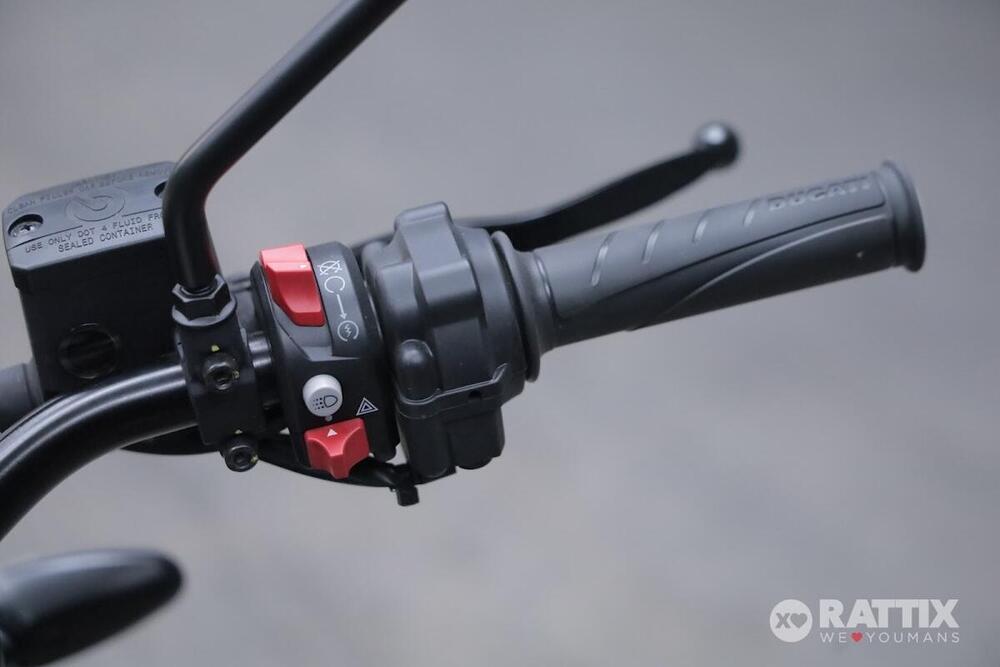 Ducati Scrambler 800 Icon (2023 - 24) (12)