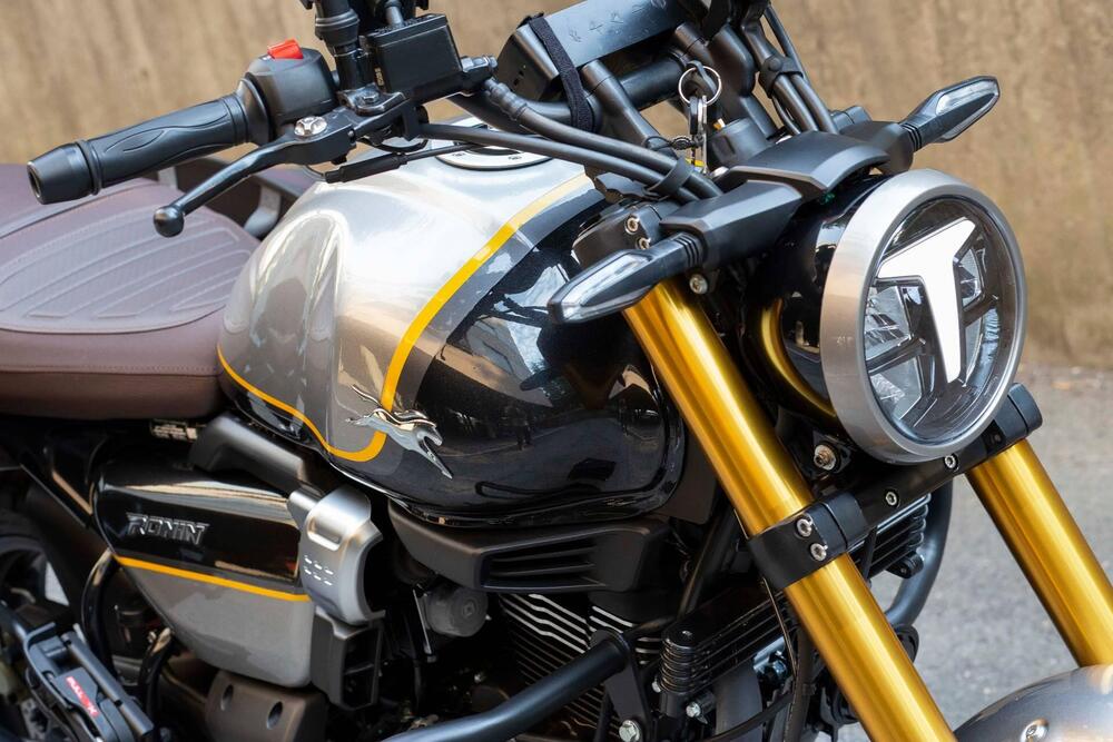 TVS Motor Ronin 250 (2024 - 26) (9)