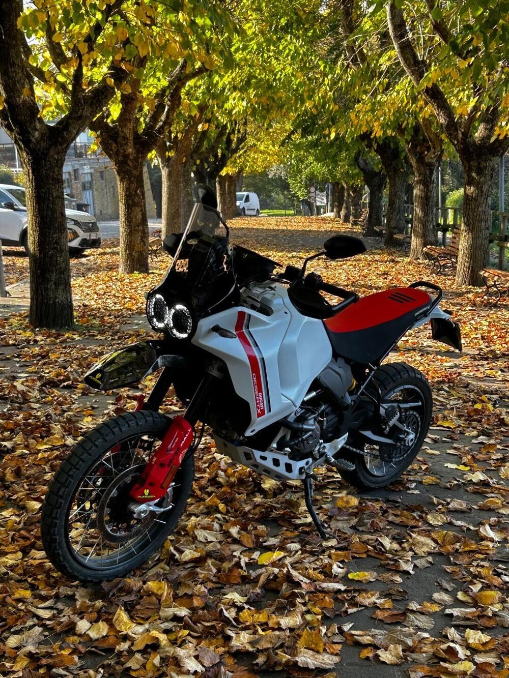 Ducati DesertX (2022 - 25) (3)