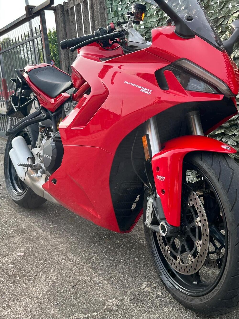 Ducati SuperSport 950 (2021 - 24) (4)