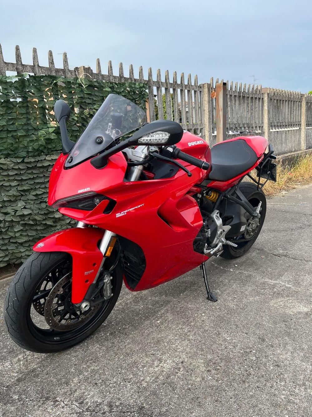 Ducati SuperSport 950 (2021 - 24) (6)