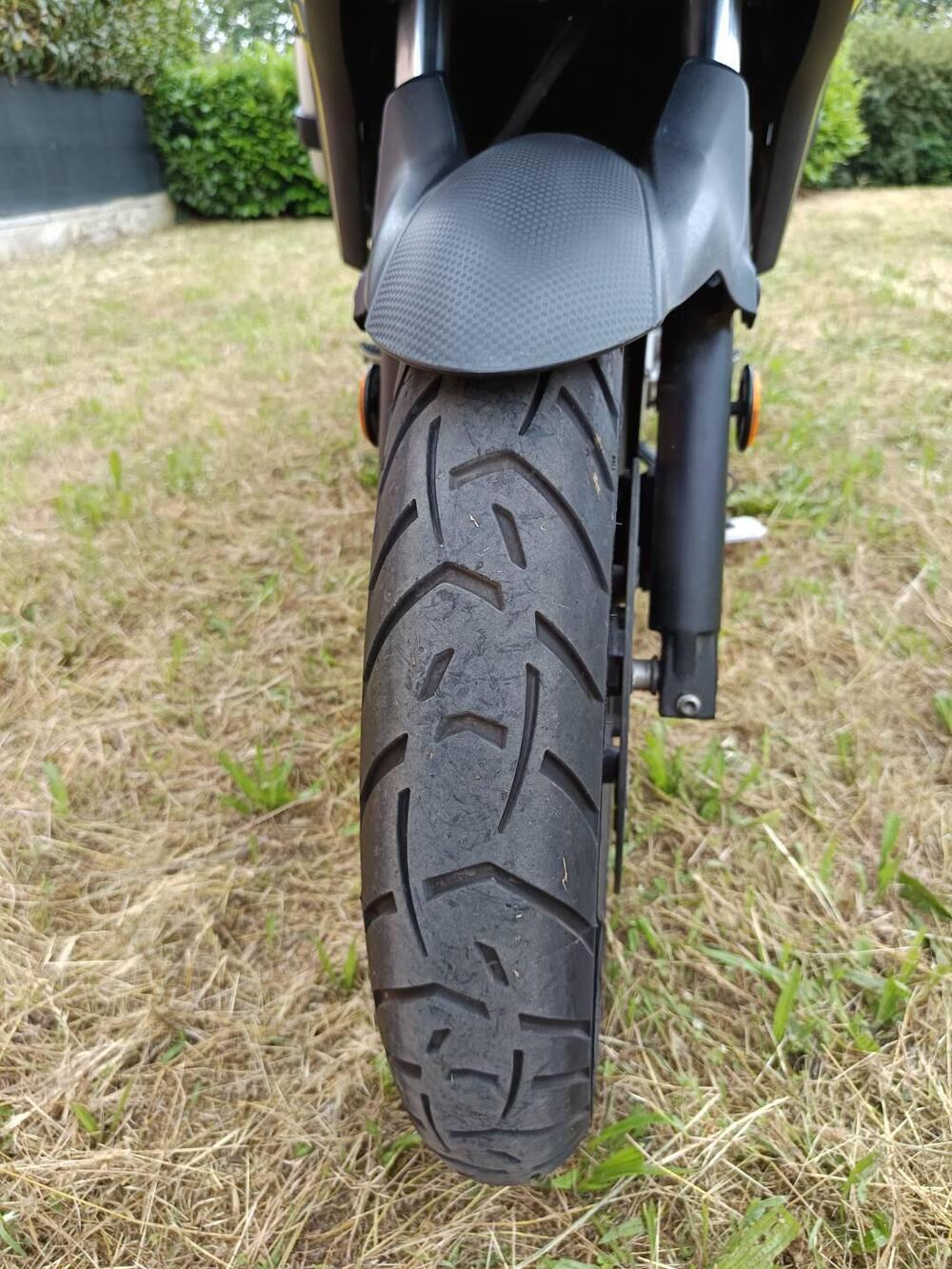 Suzuki V-Strom 650 ABS (2017 - 20) (3)