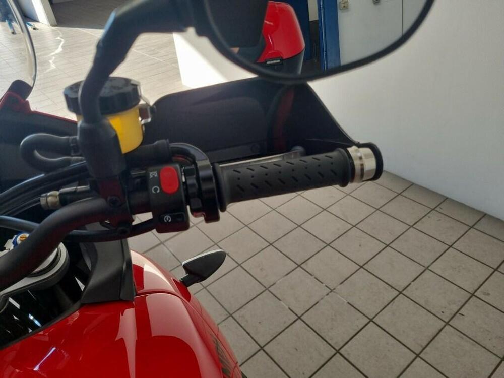 Triumph Tiger 1050 SE ABS (2006 - 13) (10)