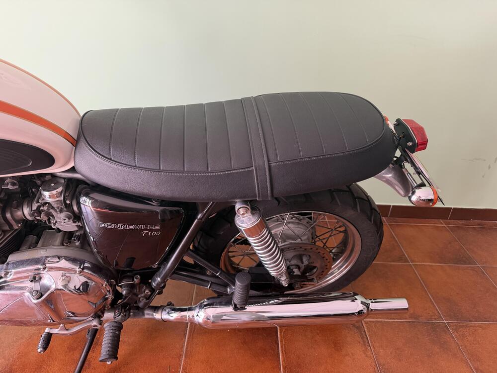 Triumph Bonneville T100 (2001 - 07) (6)