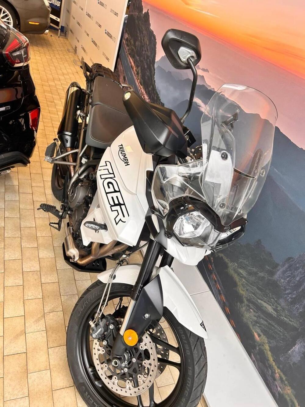 Triumph Tiger 800 XR (2018 - 20) (2)