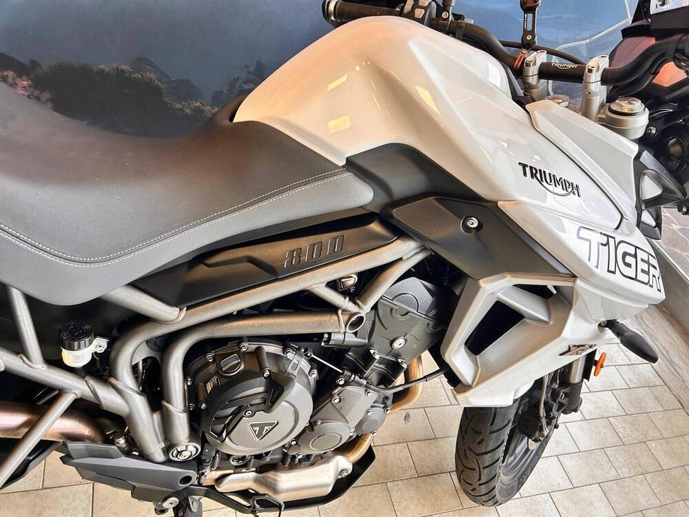Triumph Tiger 800 XR (2018 - 20) (4)
