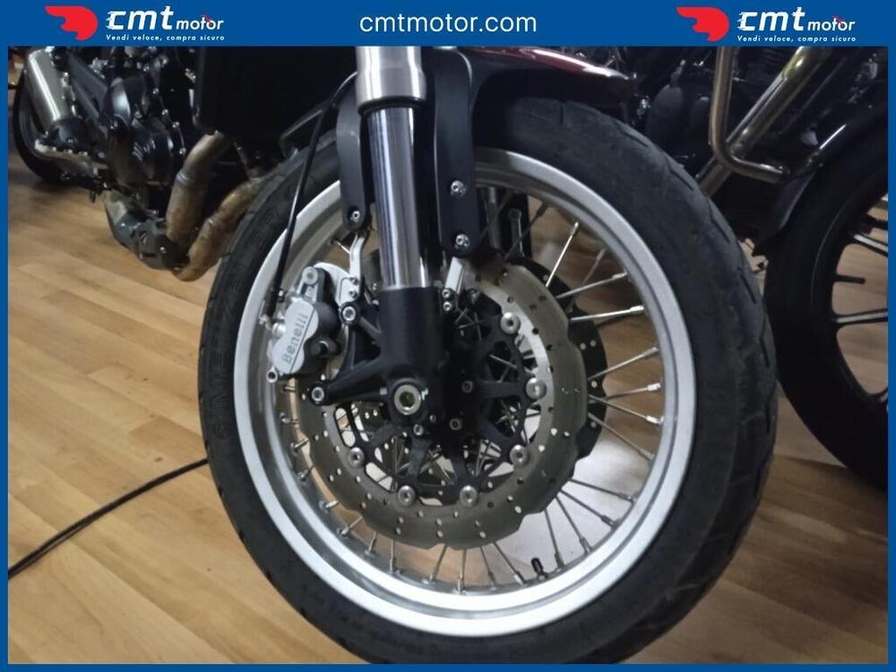 Benelli Leoncino 500 Trail (2021 - 26) (8)