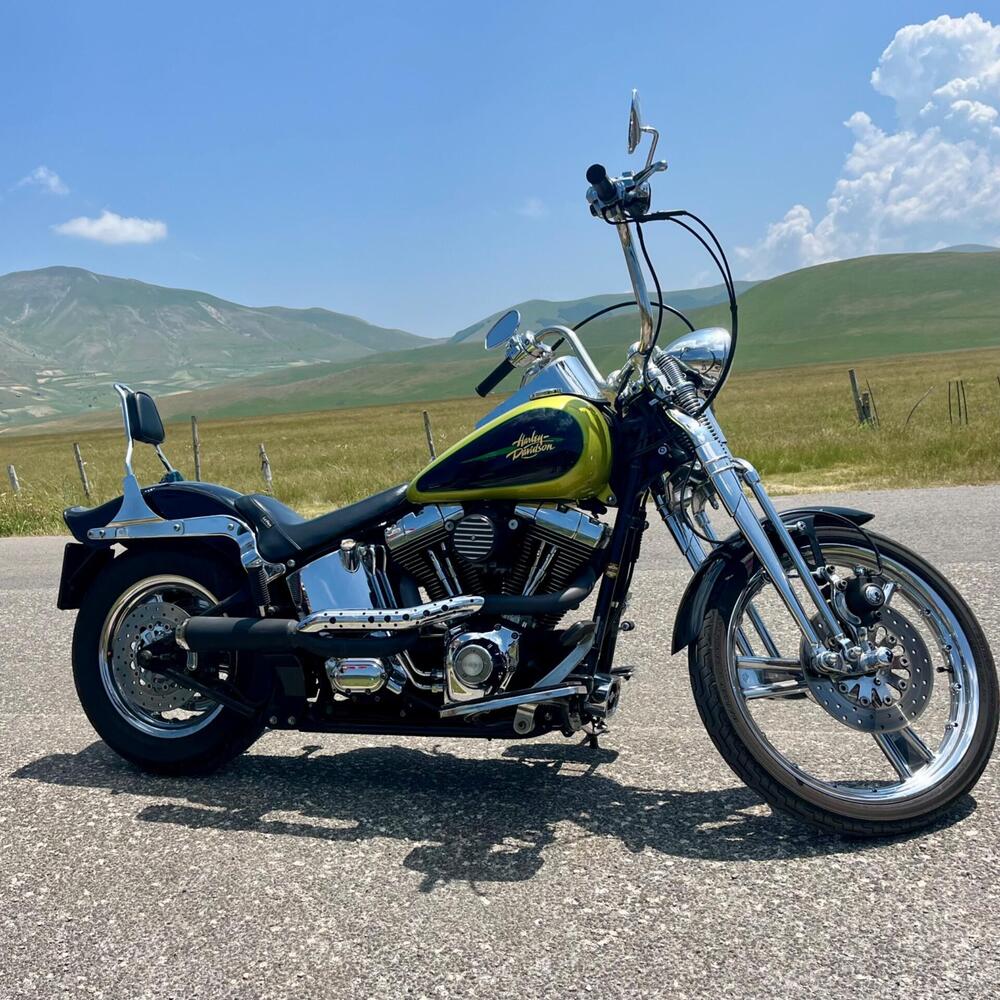 Harley-Davidson 1450 Springer (2002 - 04) - FXSTSI (3)