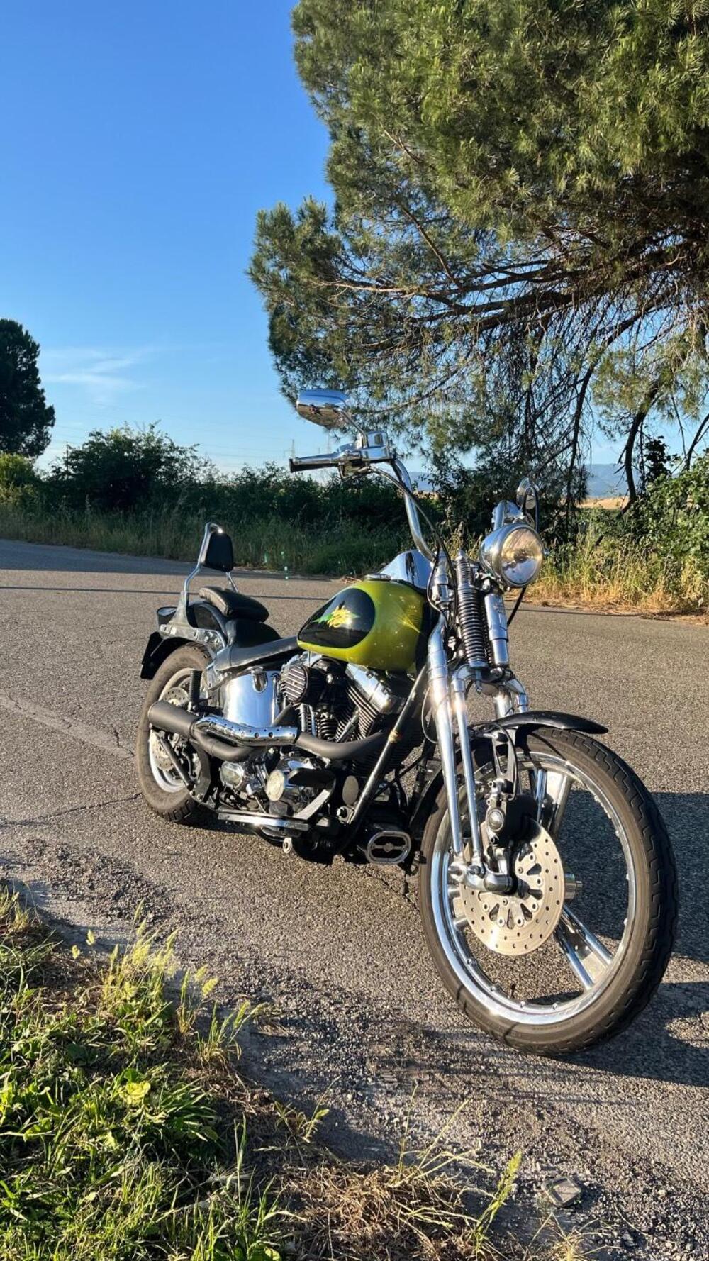 Harley-Davidson 1450 Springer (2002 - 04) - FXSTSI (2)