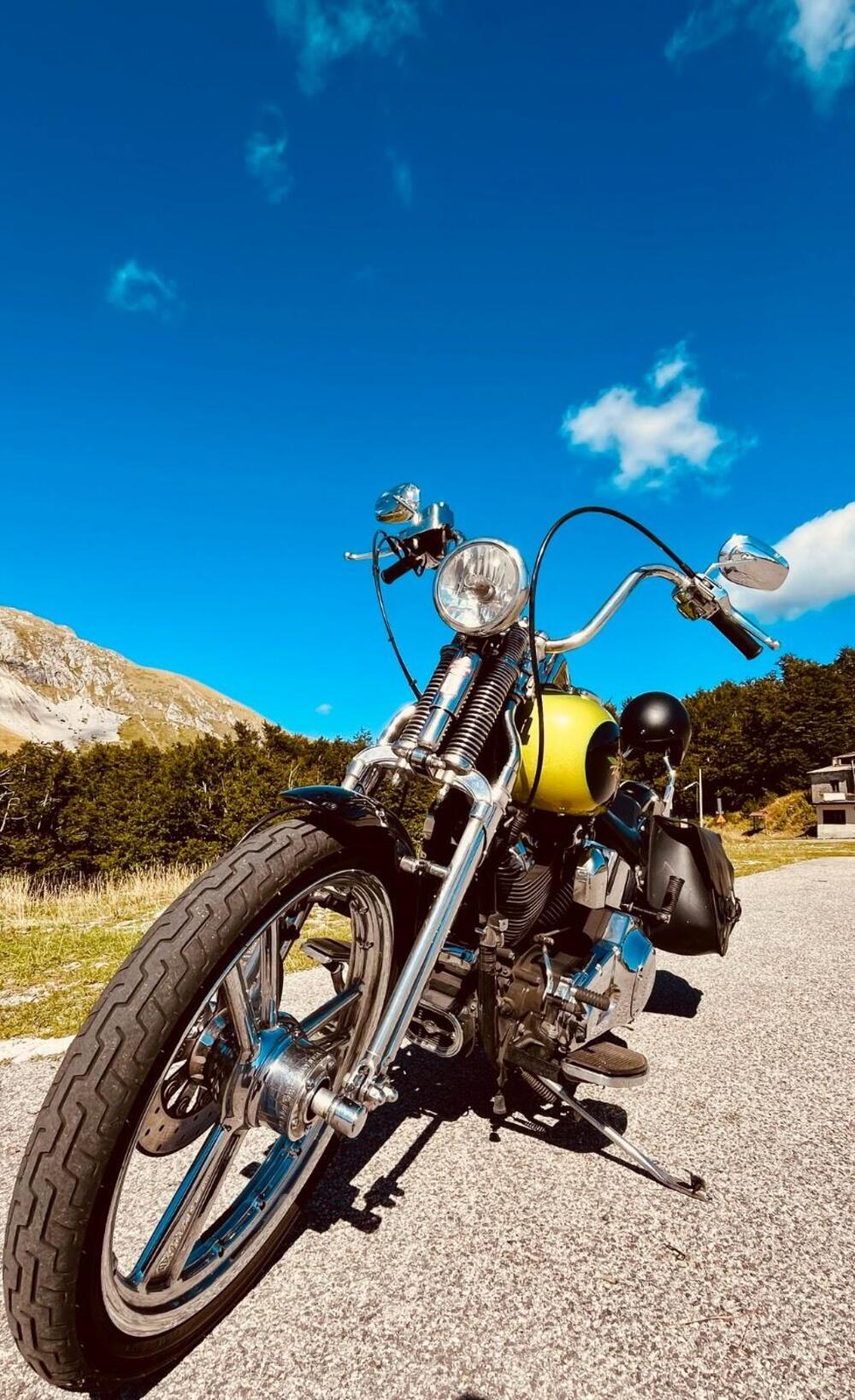 Harley-Davidson 1450 Springer (2002 - 04) - FXSTSI (4)