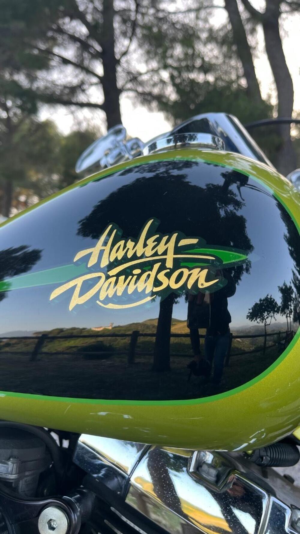 Harley-Davidson 1450 Springer (2002 - 04) - FXSTSI (5)