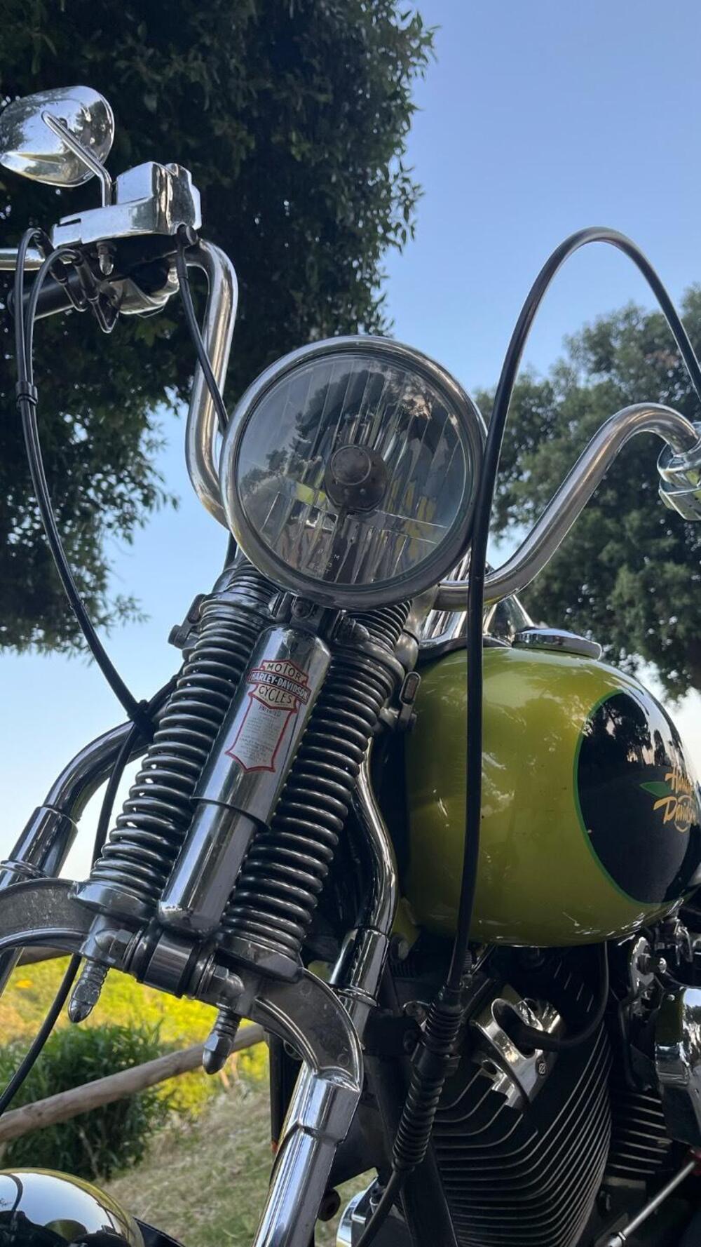 Harley-Davidson 1450 Springer (2002 - 04) - FXSTSI (7)