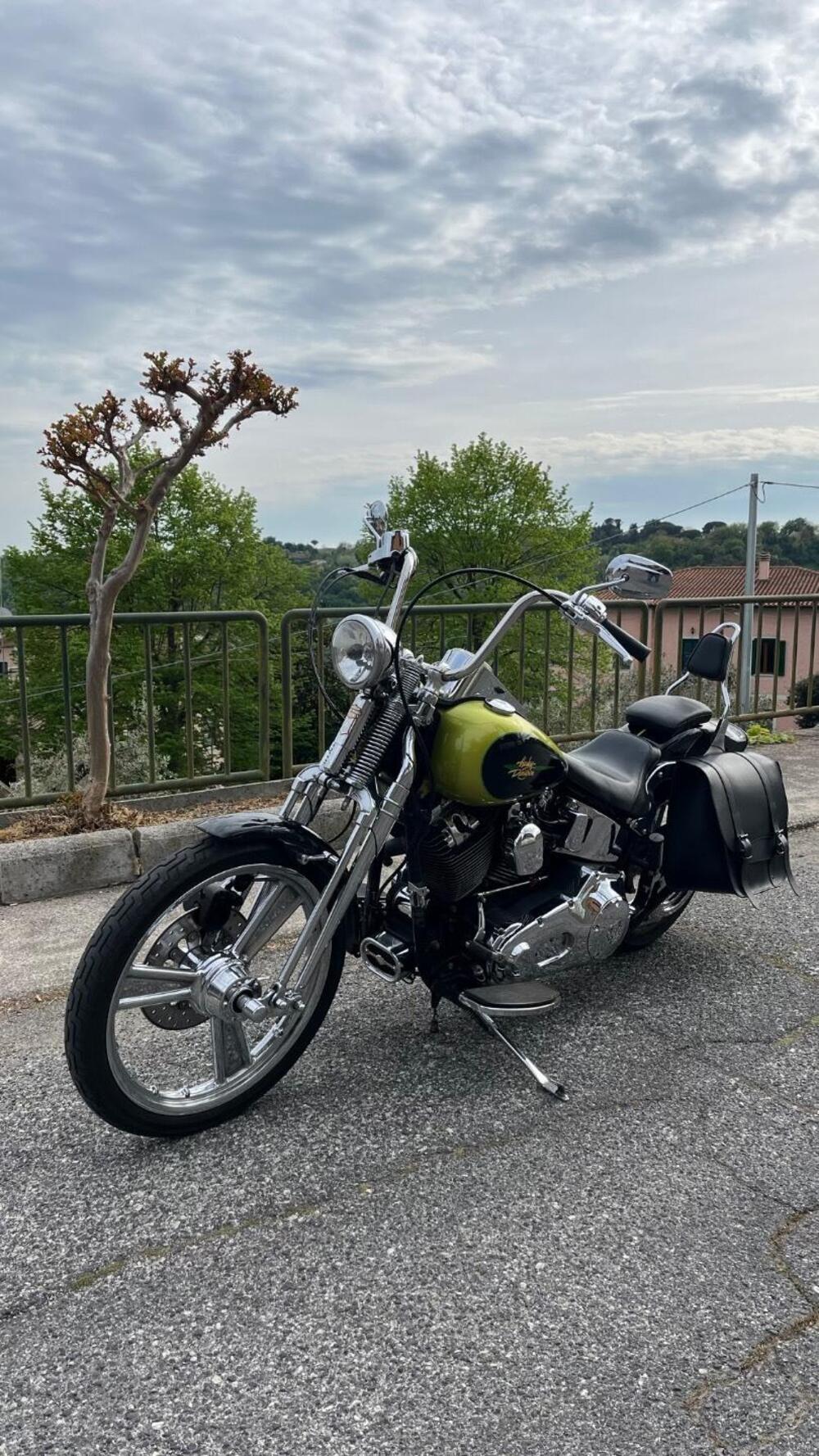 Harley-Davidson 1450 Springer (2002 - 04) - FXSTSI (8)