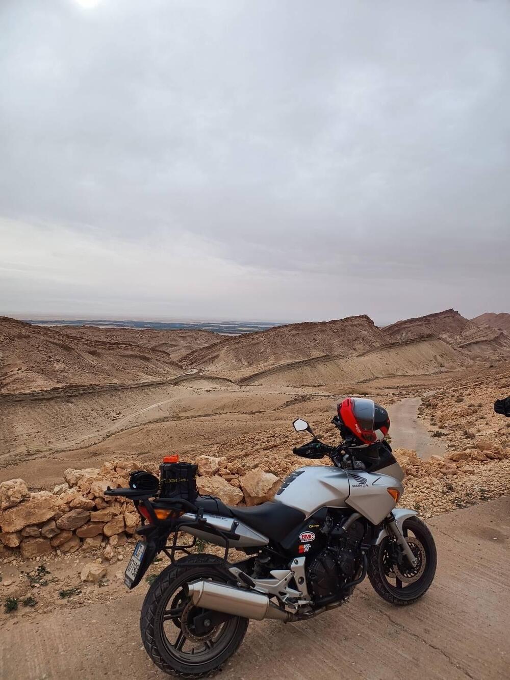 Honda CBF 600 (2004 - 06) (15)