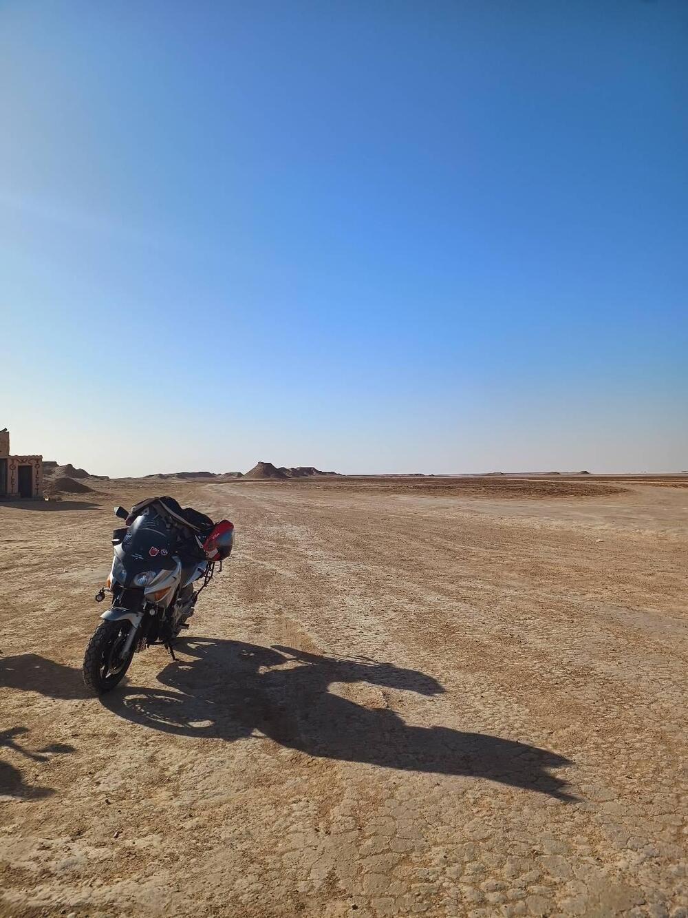 Honda CBF 600 (2004 - 06) (16)