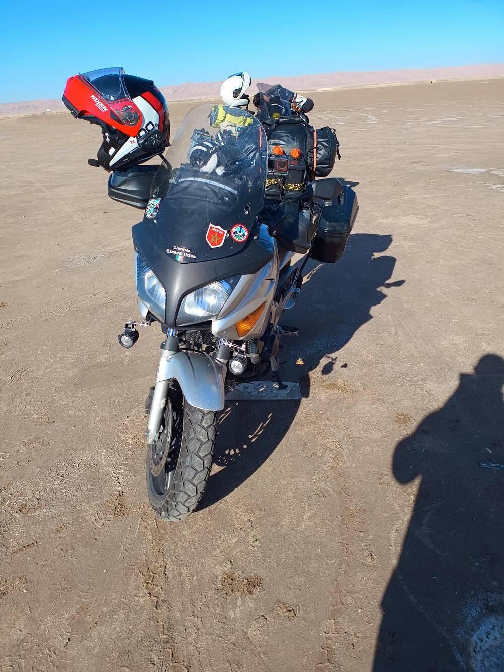 Honda CBF 600 (2004 - 06) (17)