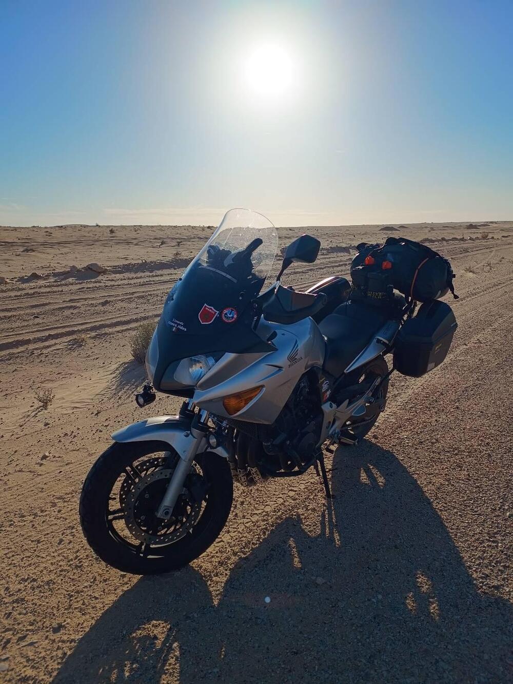 Honda CBF 600 (2004 - 06) (18)