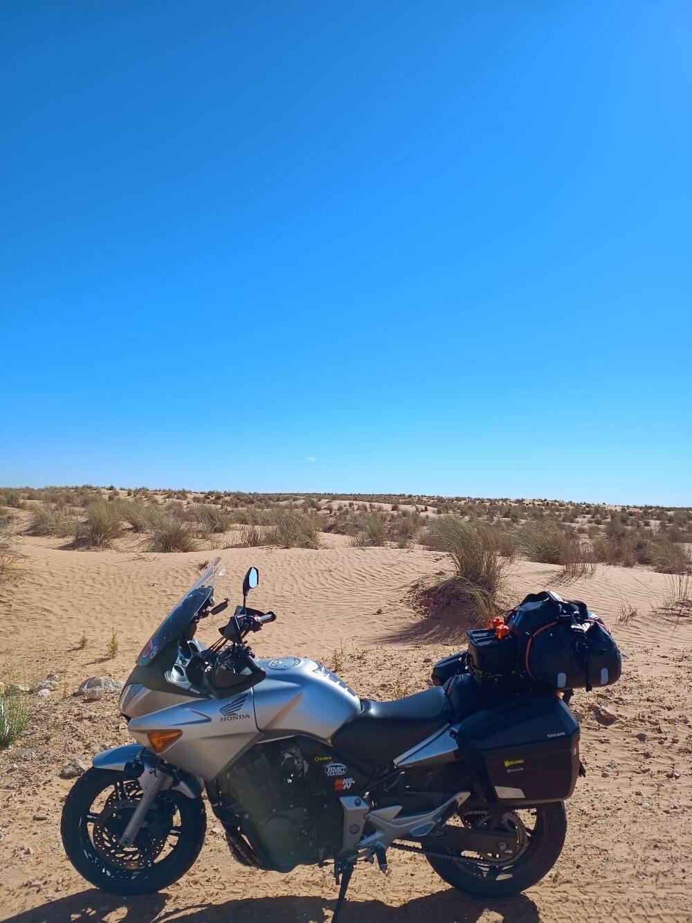 Honda CBF 600 (2004 - 06) (19)