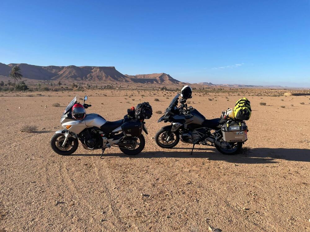 Honda CBF 600 (2004 - 06) (20)