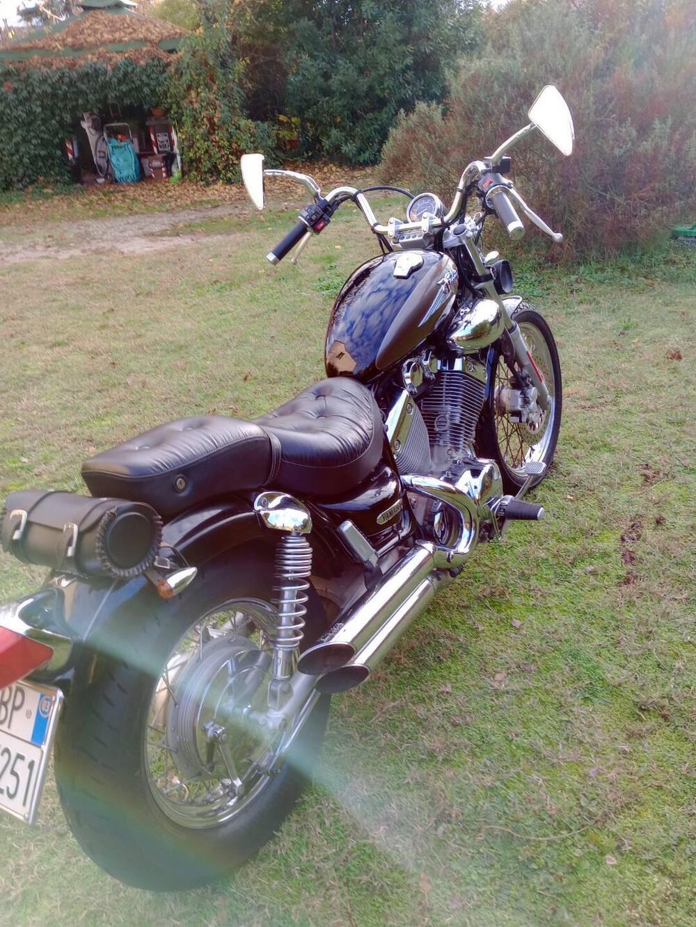 Yamaha XV 535 DX Virago (1998 - 04) (3)
