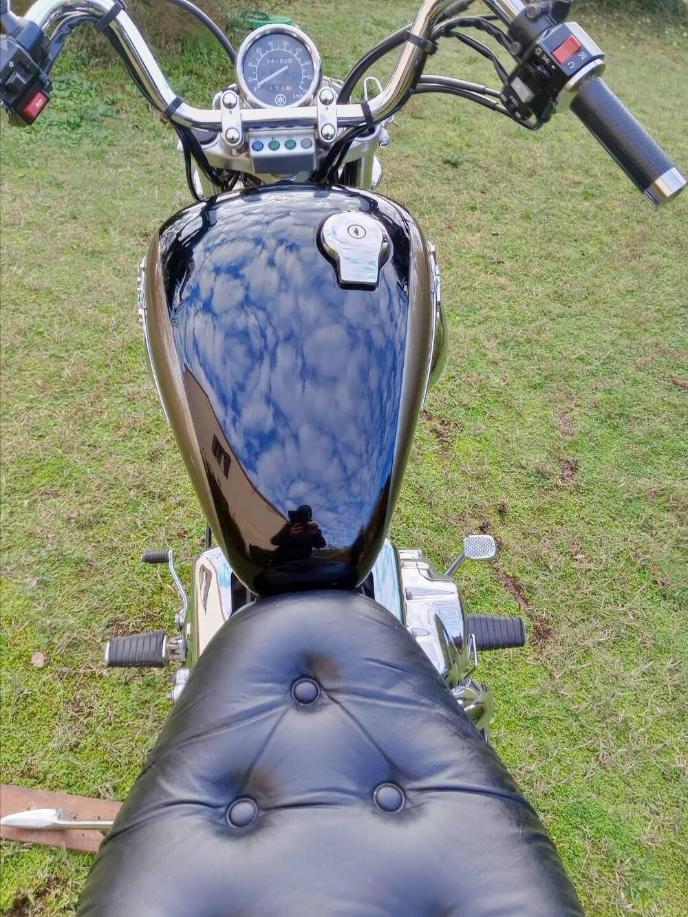 Yamaha XV 535 DX Virago (1998 - 04) (5)