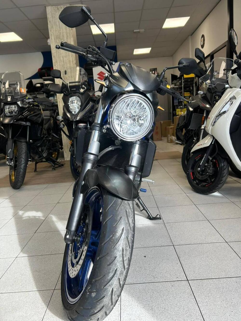 Suzuki SV650 (2021 - 24) (2)