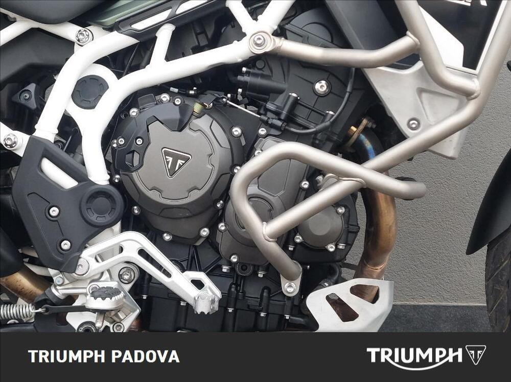 Triumph Tiger 900 Rally Pro (2020 - 23) (4)