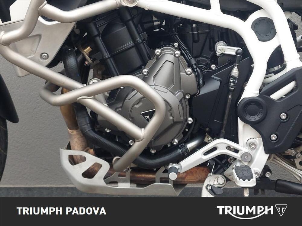 Triumph Tiger 900 Rally Pro (2020 - 23) (10)