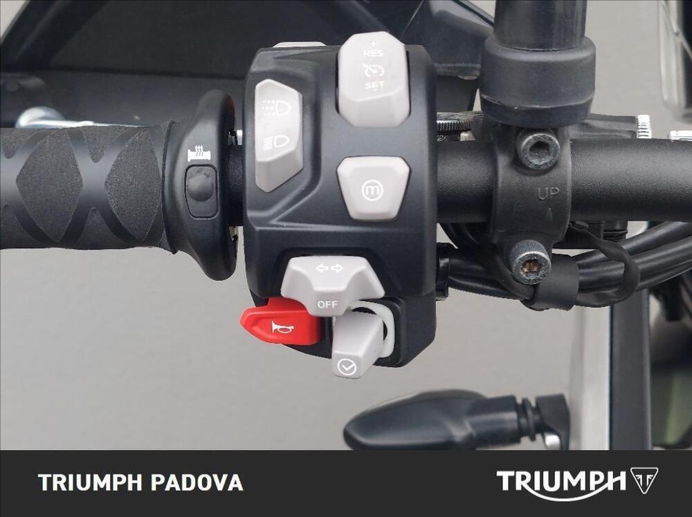 Triumph Tiger 900 Rally Pro (2020 - 23) (14)